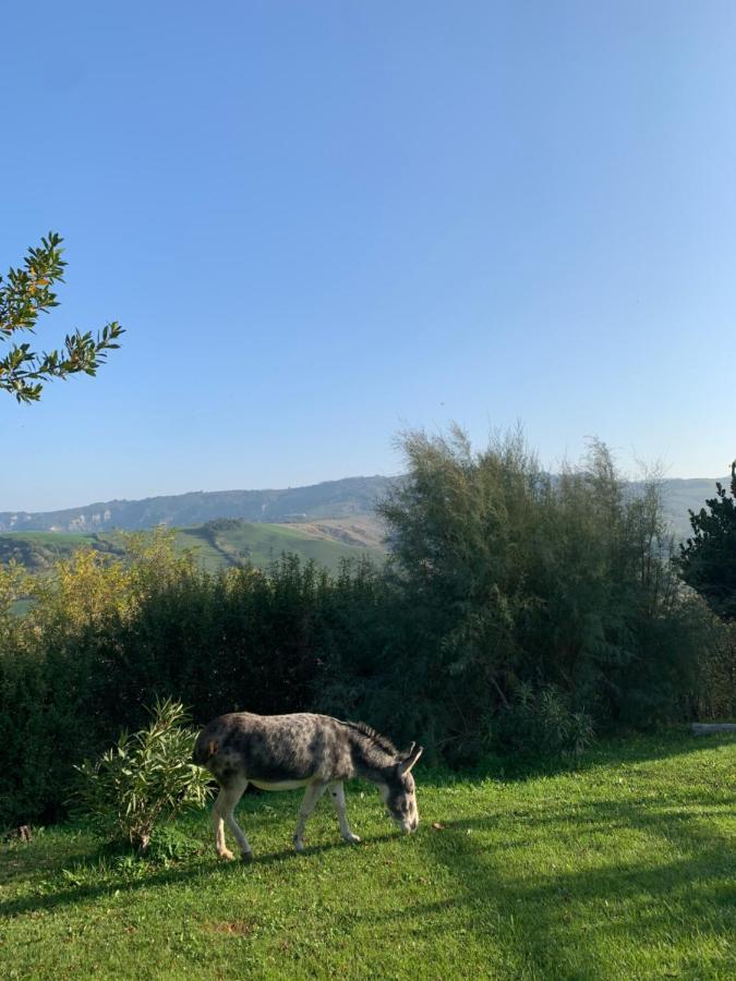 Relais B&B Betty Bike Sasso Feltrio Exterior foto